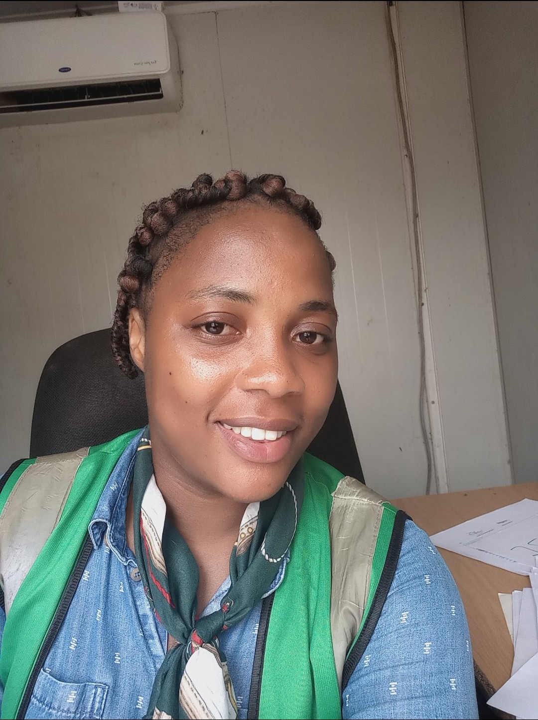 Revue de données et rapports techniques