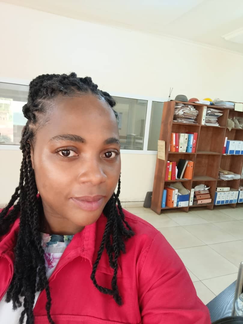 Revue de données et rapports techniques