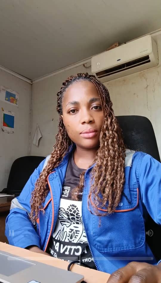 Revue de données et rapports techniques